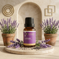 Kriveda Lavender Essential Oil – Pure & Calming, Steam-Distilled
